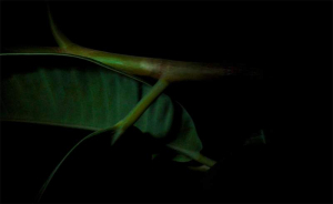 sorry, minified image is missing, click to see the bigger version