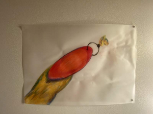 sorry, minified image is missing, click to see the bigger version