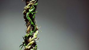 sorry, minified image is missing, click to see the bigger version