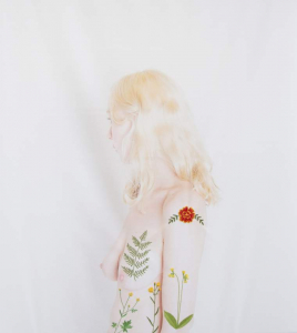 sorry, minified image is missing, click to see the bigger version