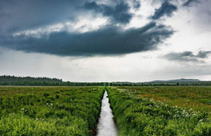 sorry, minified image is missing, click to see the bigger version