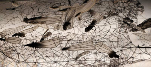 sorry, minified image is missing, click to see the bigger version