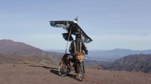 sorry, minified image is missing, click to see the bigger version