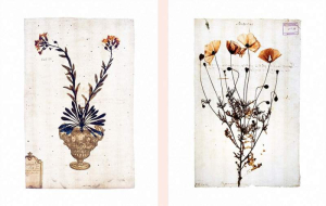 sorry, minified image is missing, click to see the bigger version