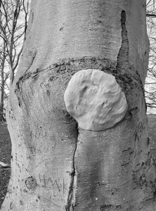 sorry, minified image is missing, click to see the bigger version