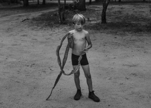 sorry, minified image is missing, click to see the bigger version