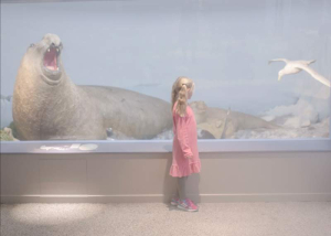 sorry, minified image is missing, click to see the bigger version