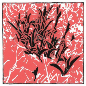 sorry, minified image is missing, click to see the bigger version