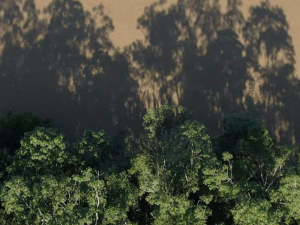 sorry, minified image is missing, click to see the bigger version