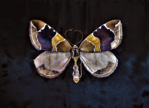 sorry, minified image is missing, click to see the bigger version