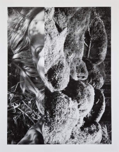 sorry, minified image is missing, click to see the bigger version