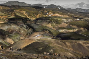 sorry, minified image is missing, click to see the bigger version