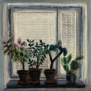 sorry, minified image is missing, click to see the bigger version