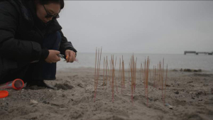 sorry, minified image is missing, click to see the bigger version