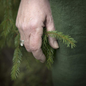 sorry, minified image is missing, click to see the bigger version