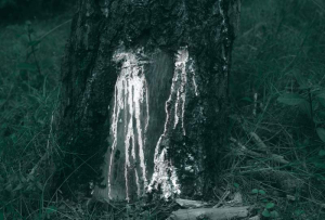 sorry, minified image is missing, click to see the bigger version