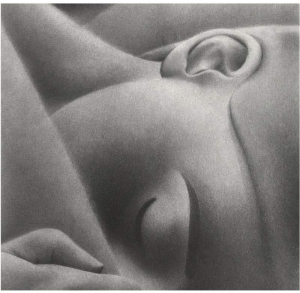 sorry, minified image is missing, click to see the bigger version