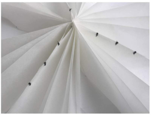 sorry, minified image is missing, click to see the bigger version