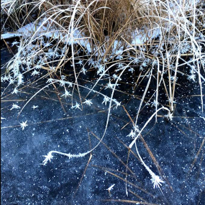 sorry, minified image is missing, click to see the bigger version