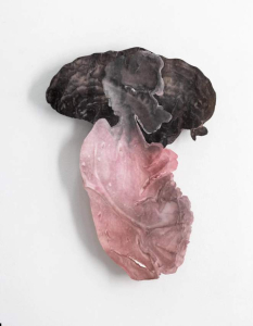 sorry, minified image is missing, click to see the bigger version