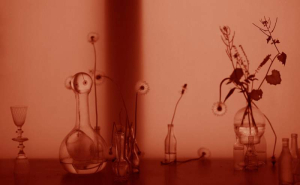 sorry, minified image is missing, click to see the bigger version