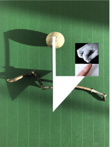 sorry, minified image is missing, click to see the bigger version