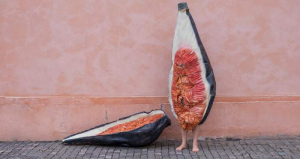 sorry, minified image is missing, click to see the bigger version