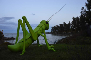 sorry, minified image is missing, click to see the bigger version