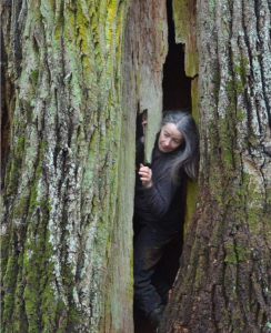 sorry, minified image is missing, click to see the bigger version