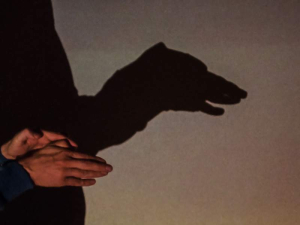 sorry, minified image is missing, click to see the bigger version